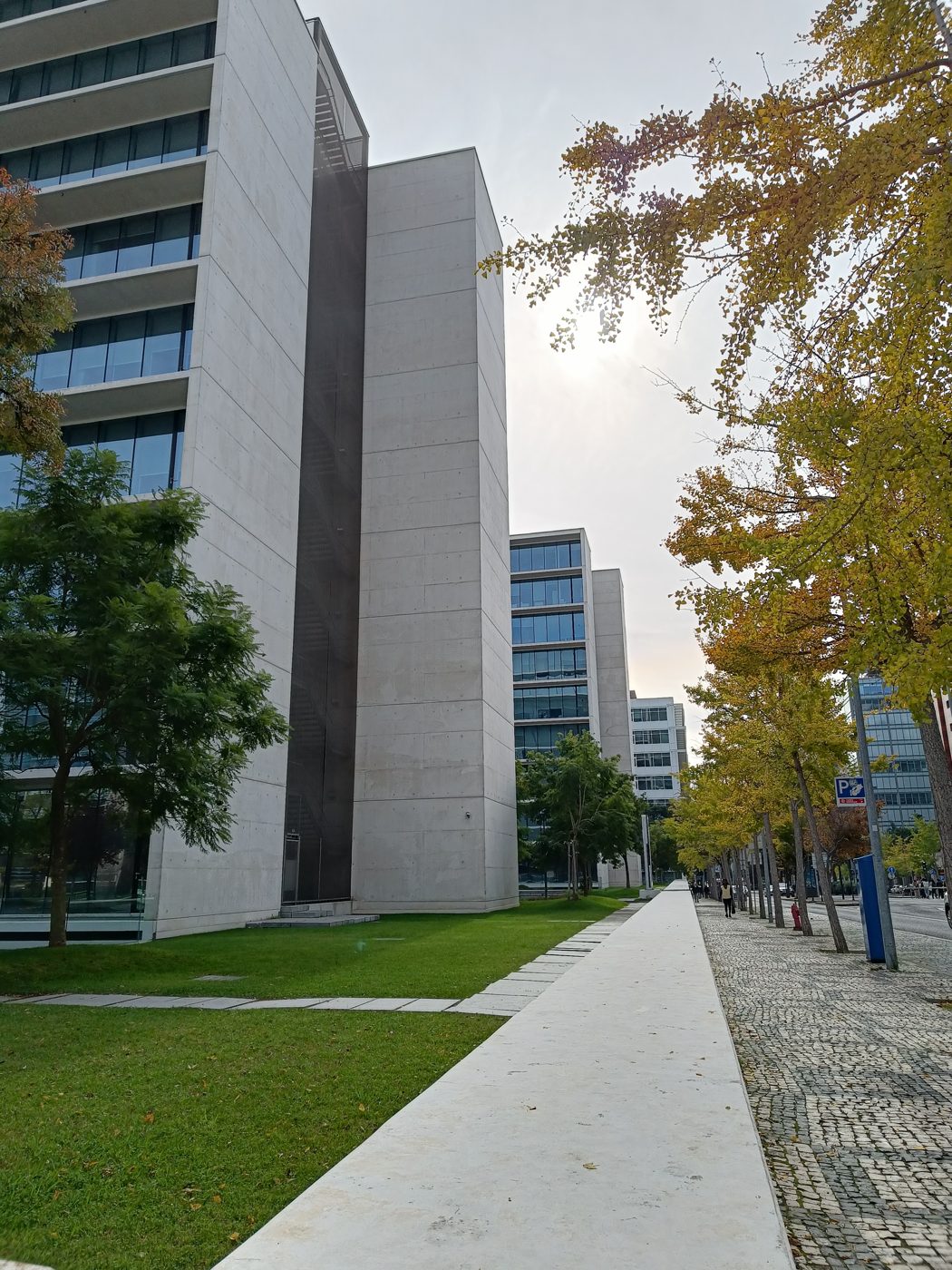 Modern office buildings beside a lawn, trees and an empty footpath