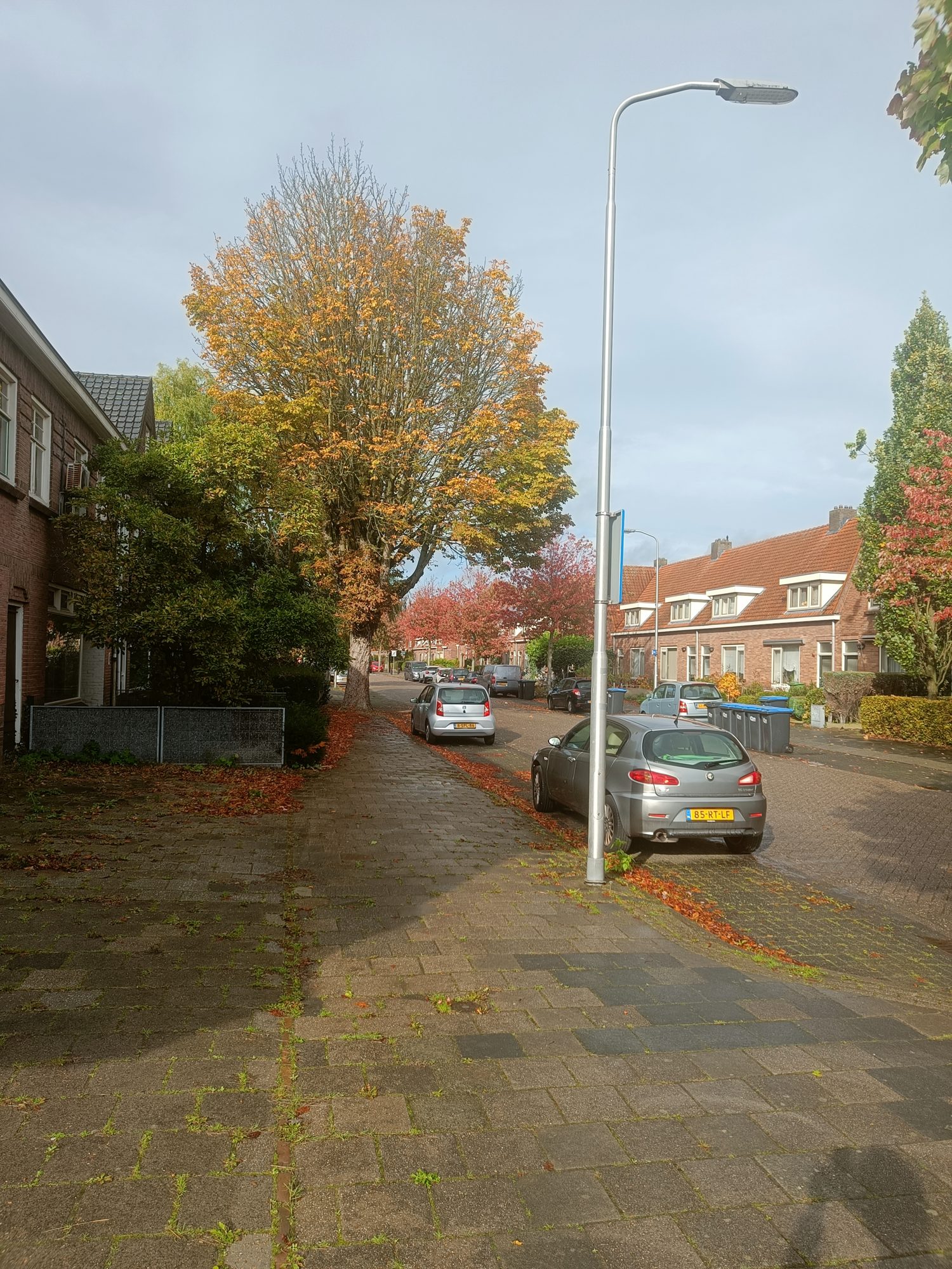 A quiet residential street in autumn, with brick houses, trees and parked cars